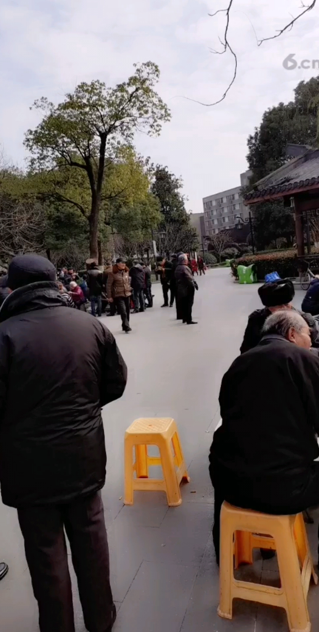 元旦快乐，四海宾客聚恩波，日照