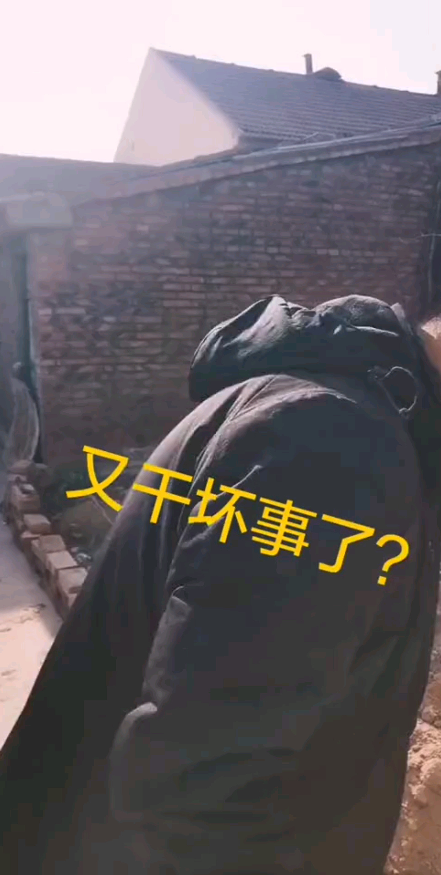 农村人搞笑是认真的