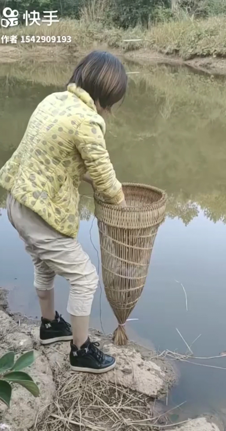抓鱼