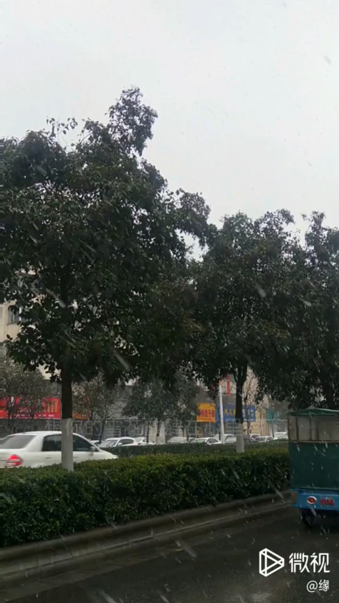 冬天已到，雪已下，你在哪？好冷