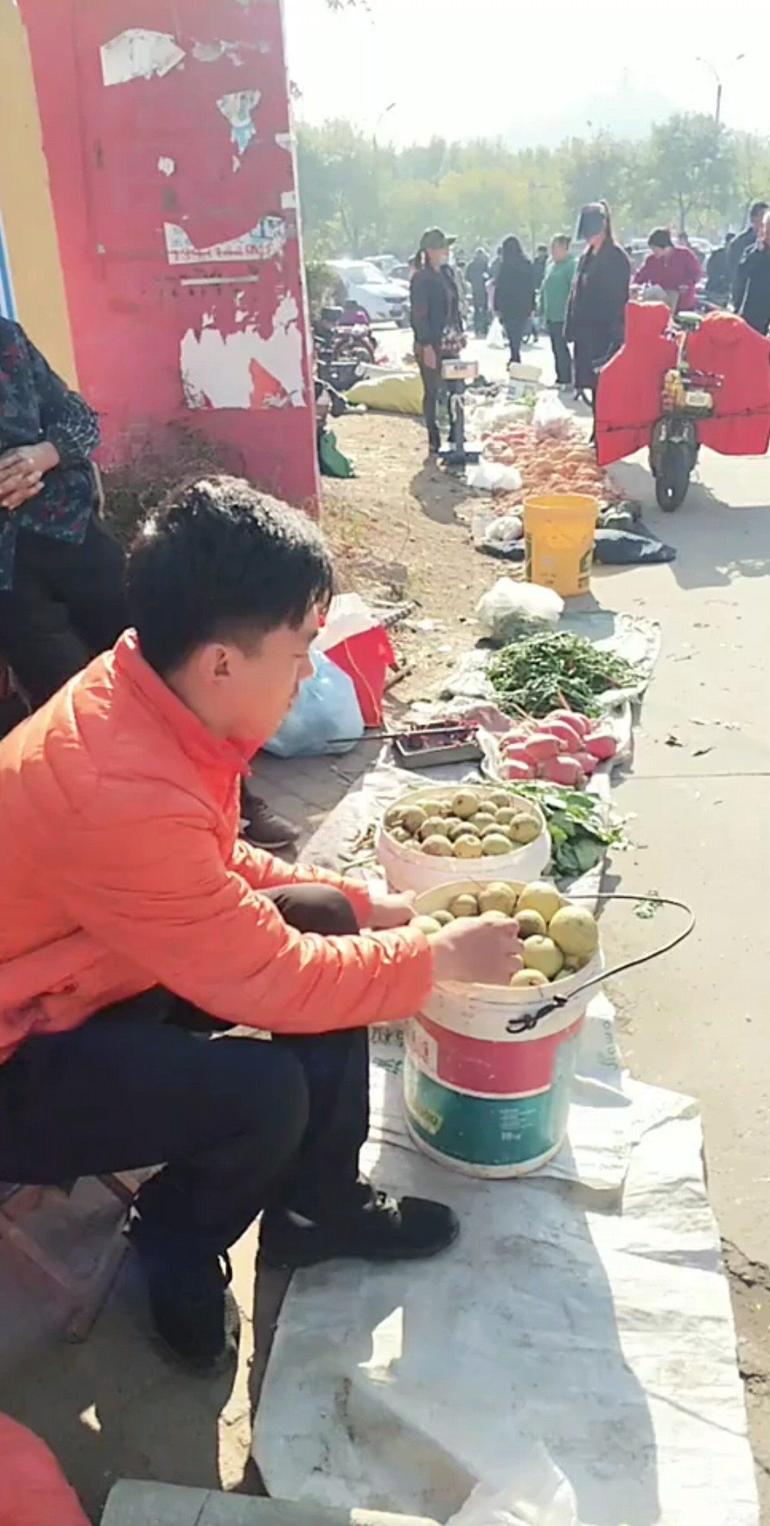 希望双击评论同成点关注