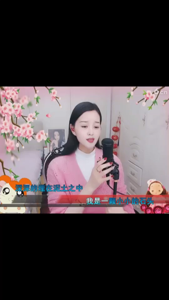 小小的石头石
