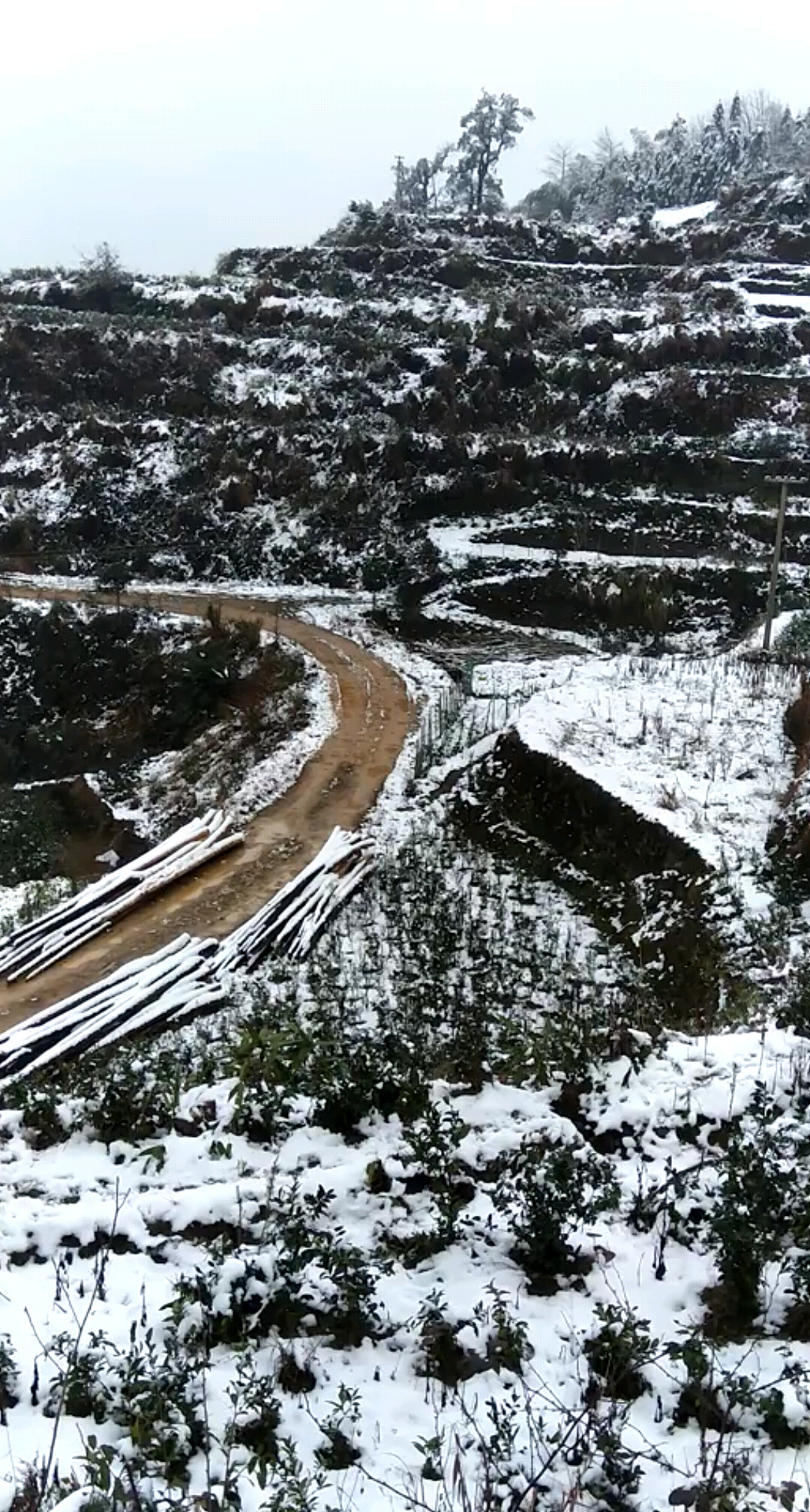 大雪压高山