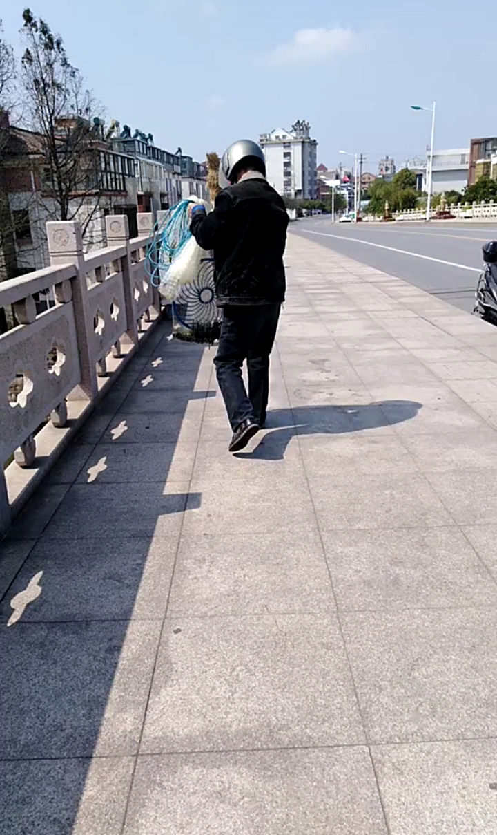 在桥上捉鱼呢