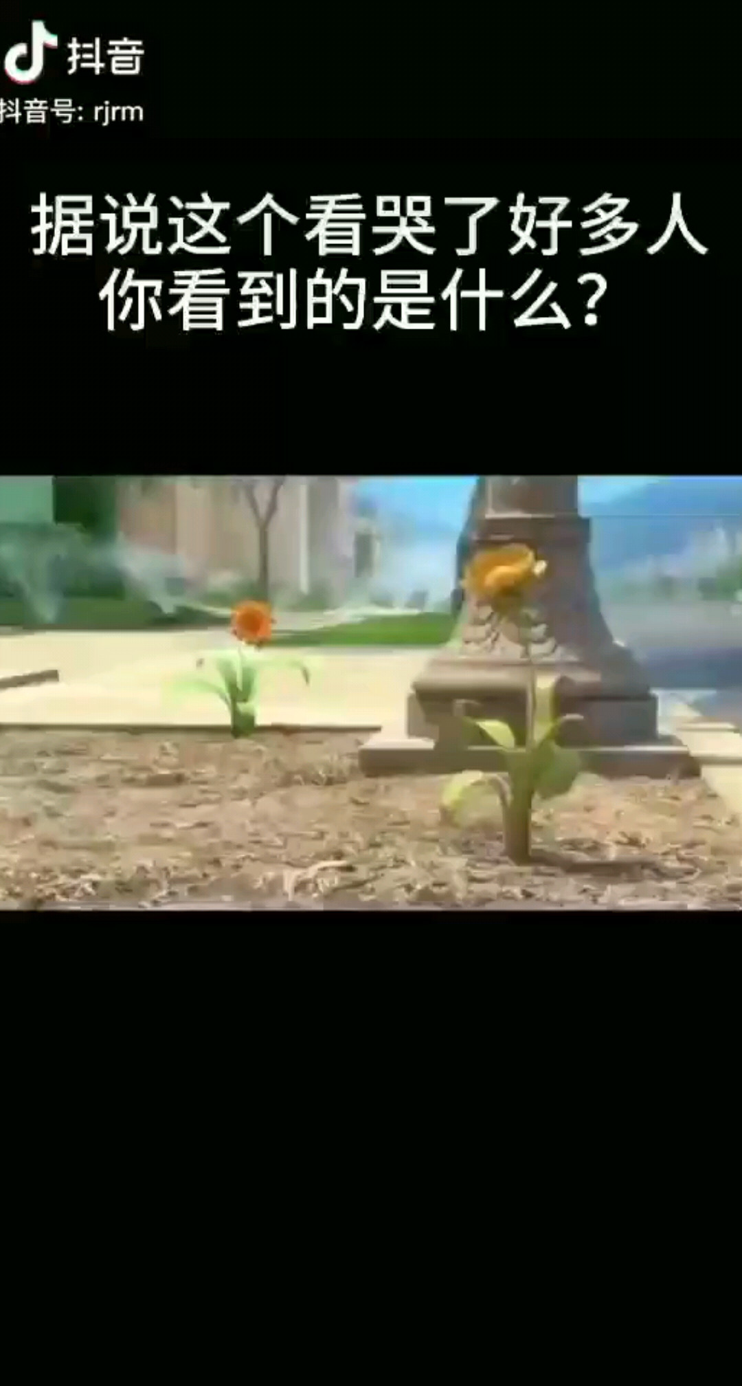 你能看到什么?《一》
