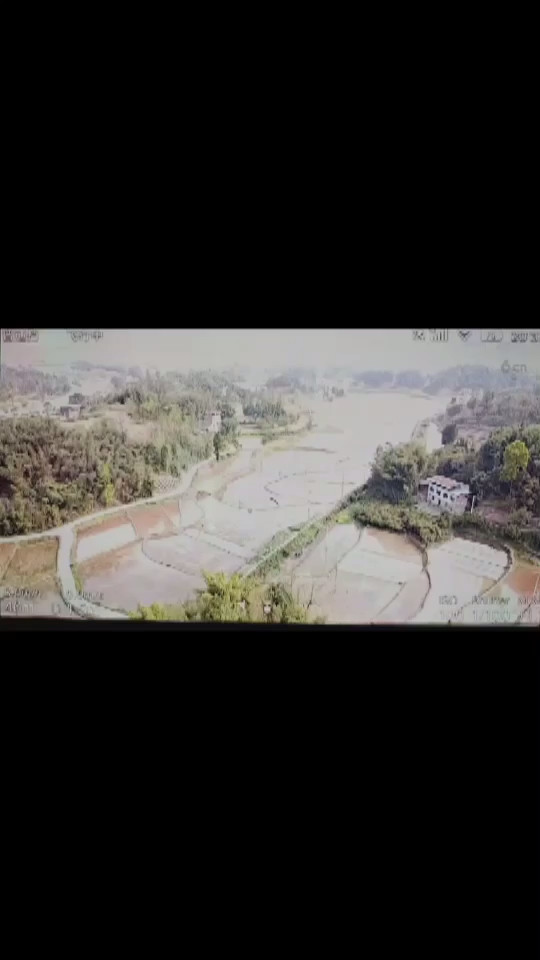 竹海