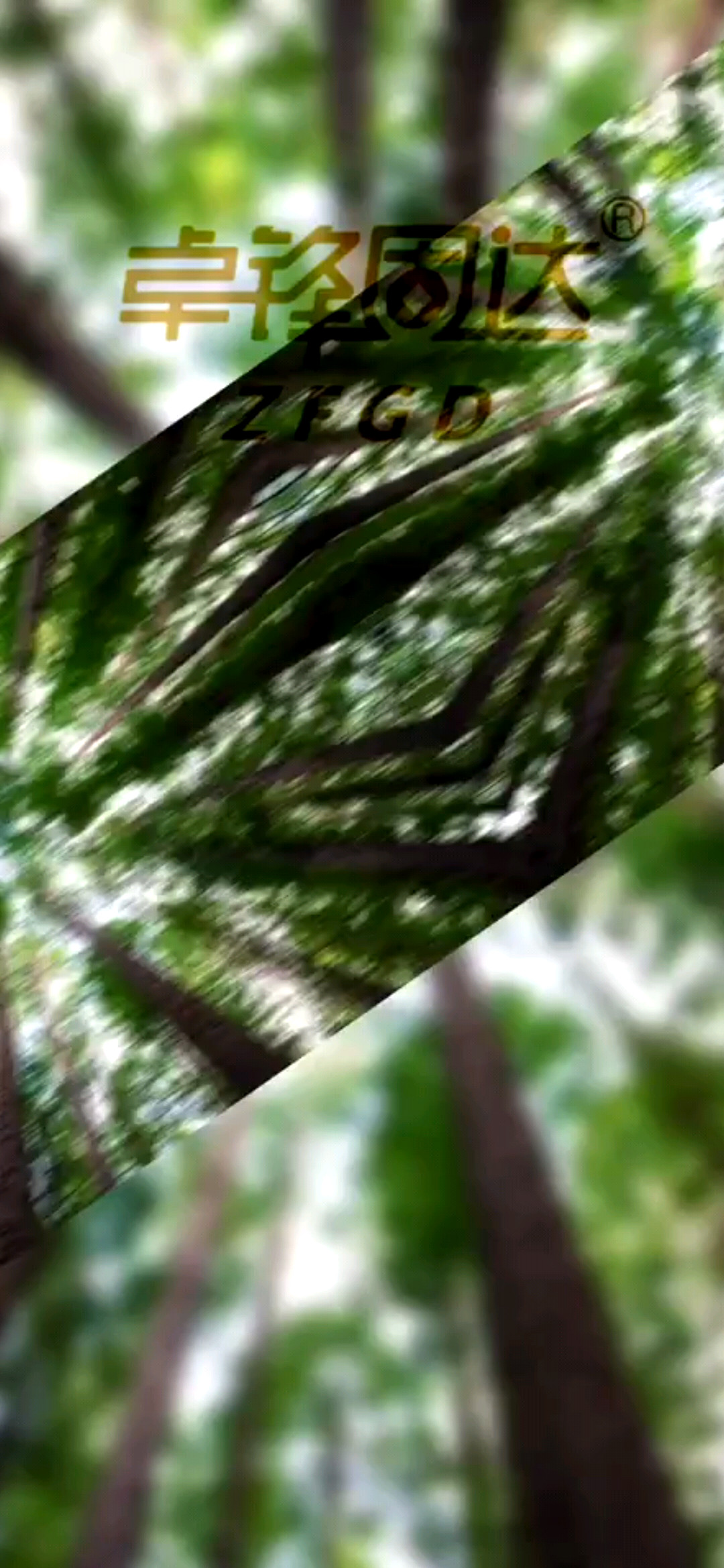 思想是思考的产物－卓锋固达