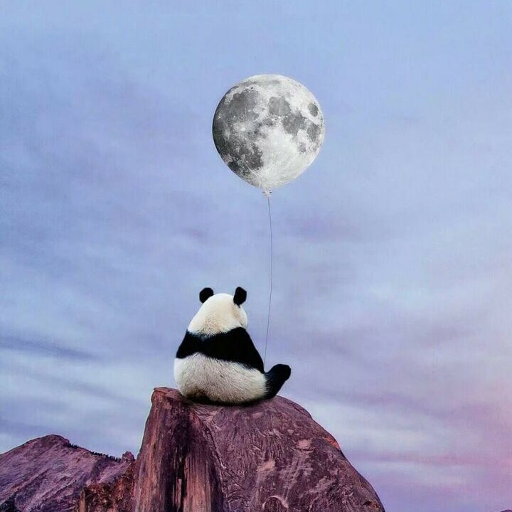 反讽💖海报