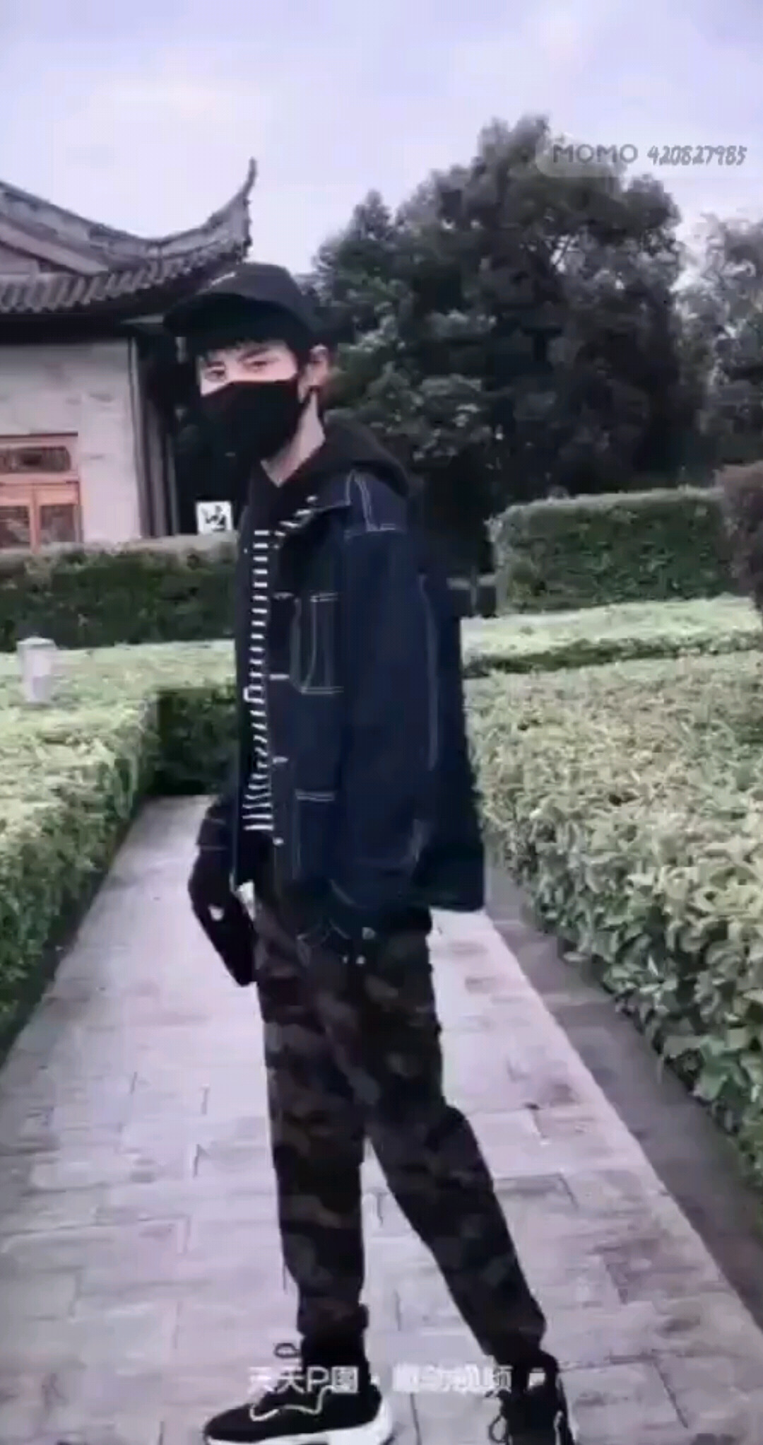 怕怕