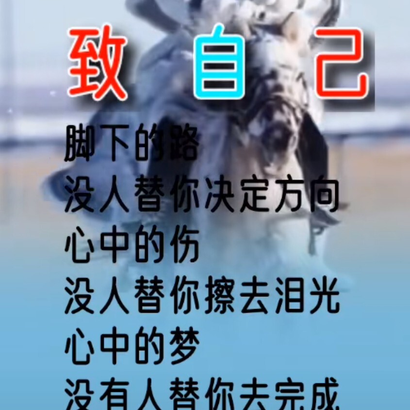 泪水★无情海报