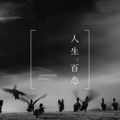 厉害👍了海报