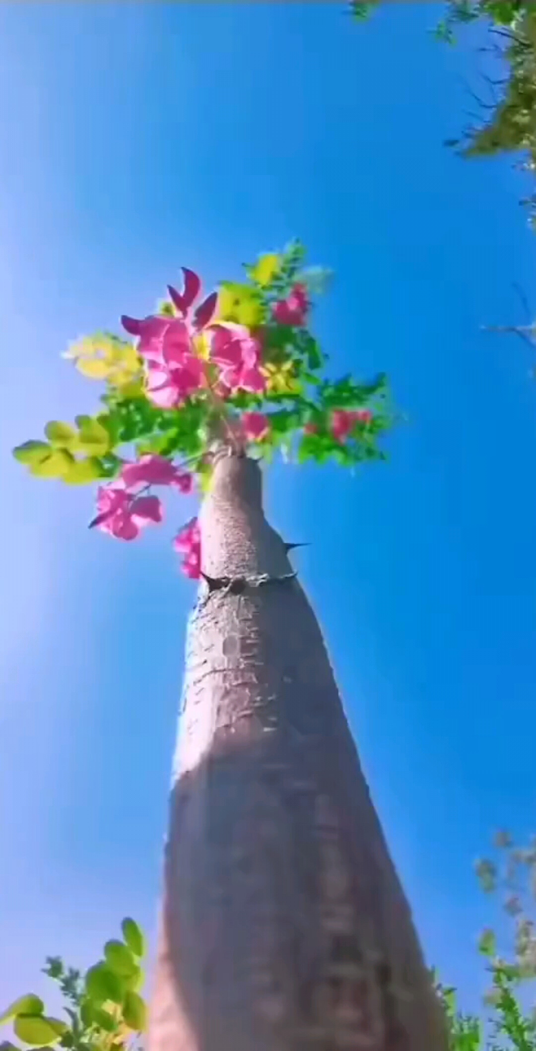 最美不过春风十里不如你