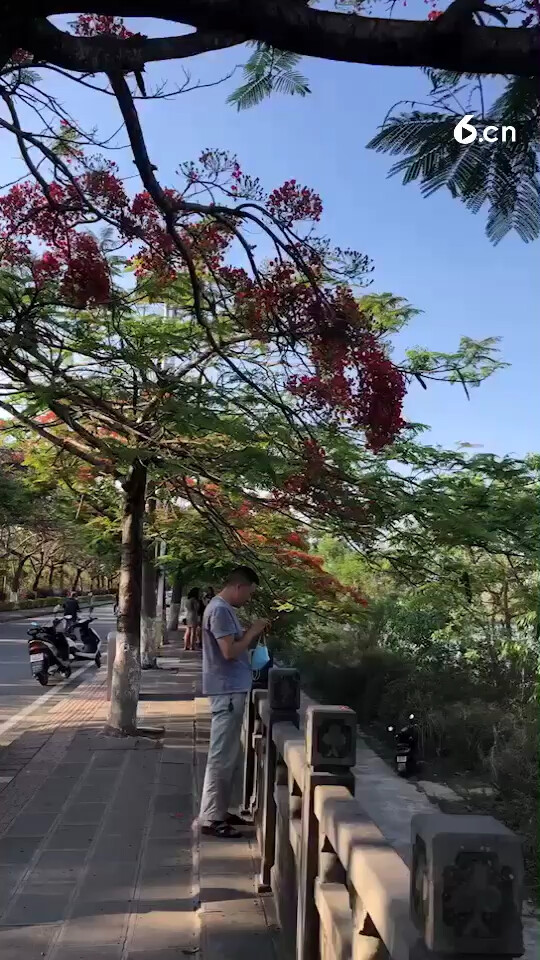 风大雨大这里永远是你家