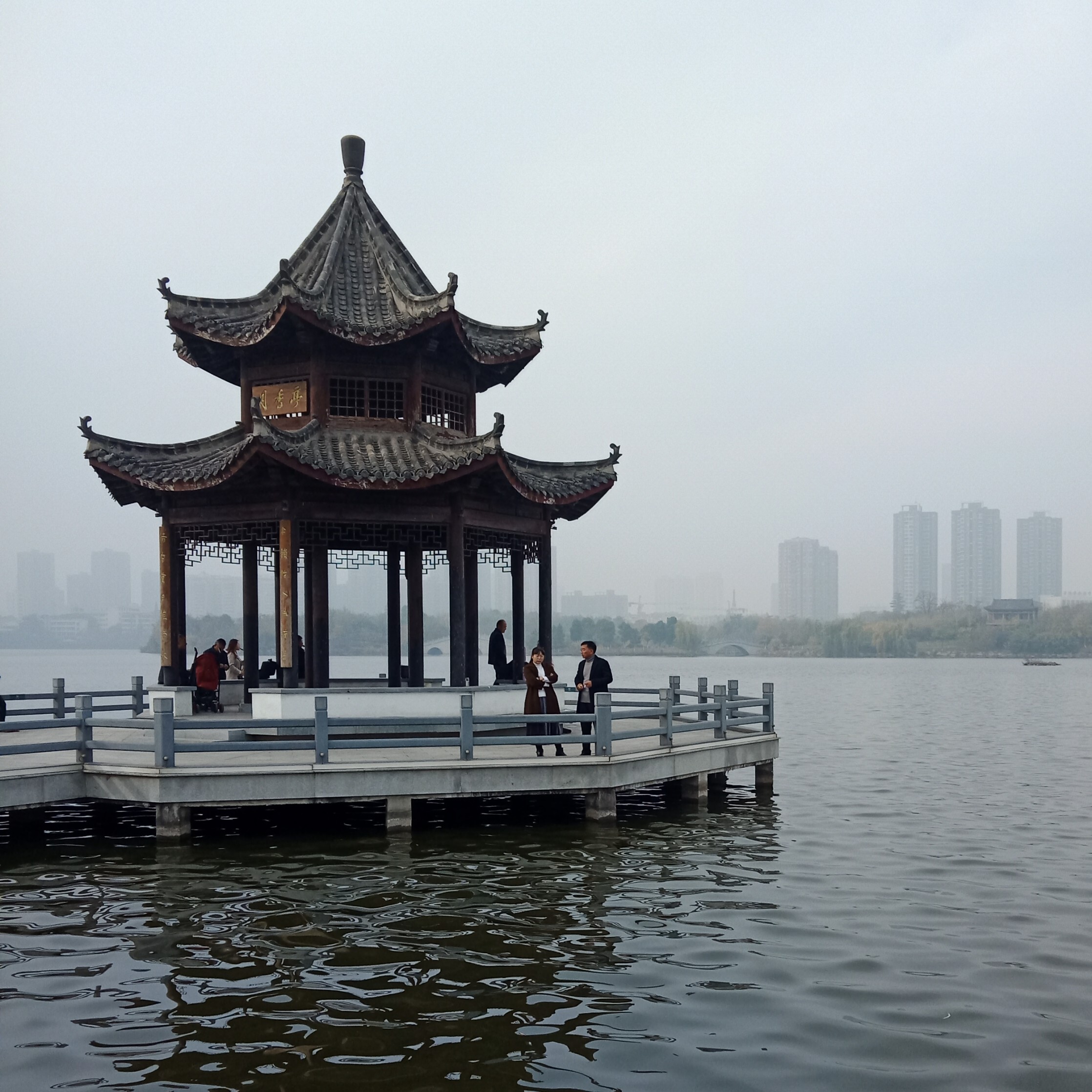 砖家…海报