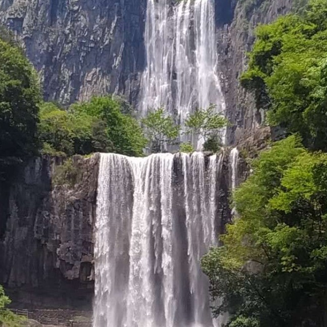 大悲咒巧海报