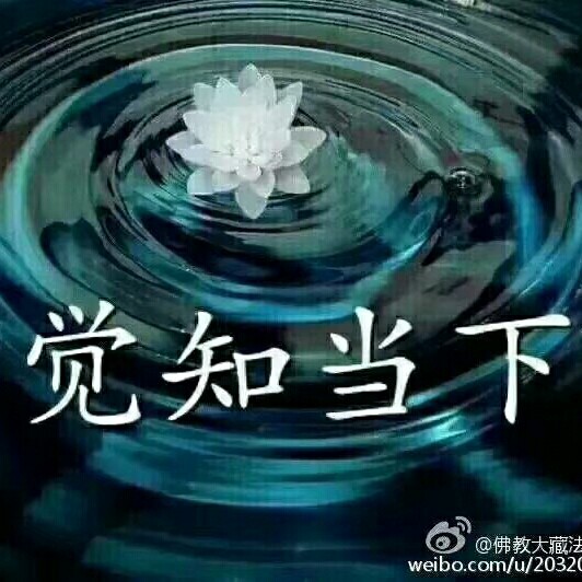 231180005海报