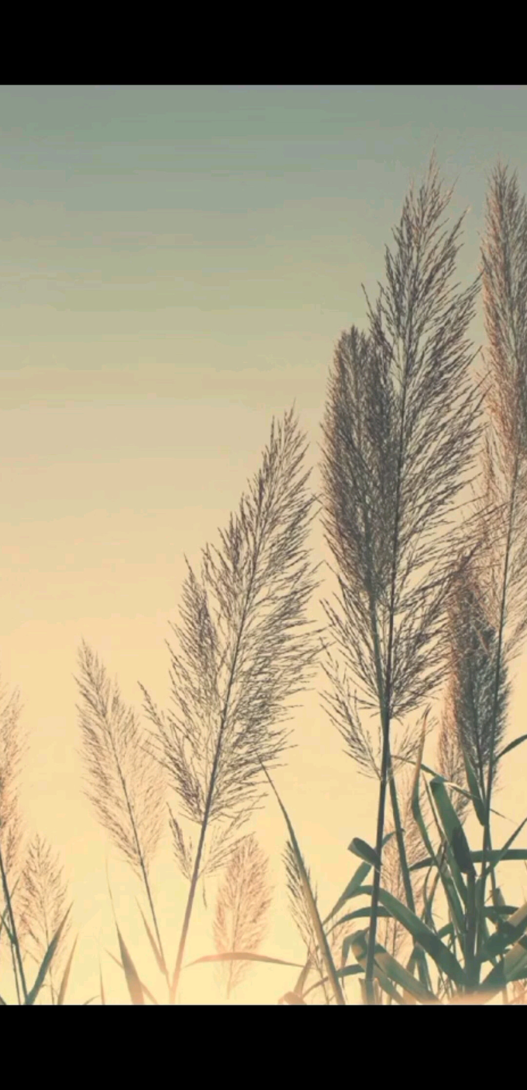 决心和毅力是成为富人的根