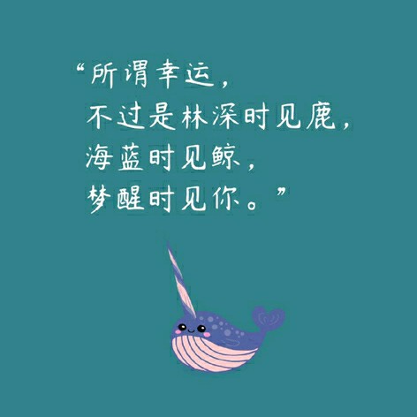 新人微微求宠爱海报