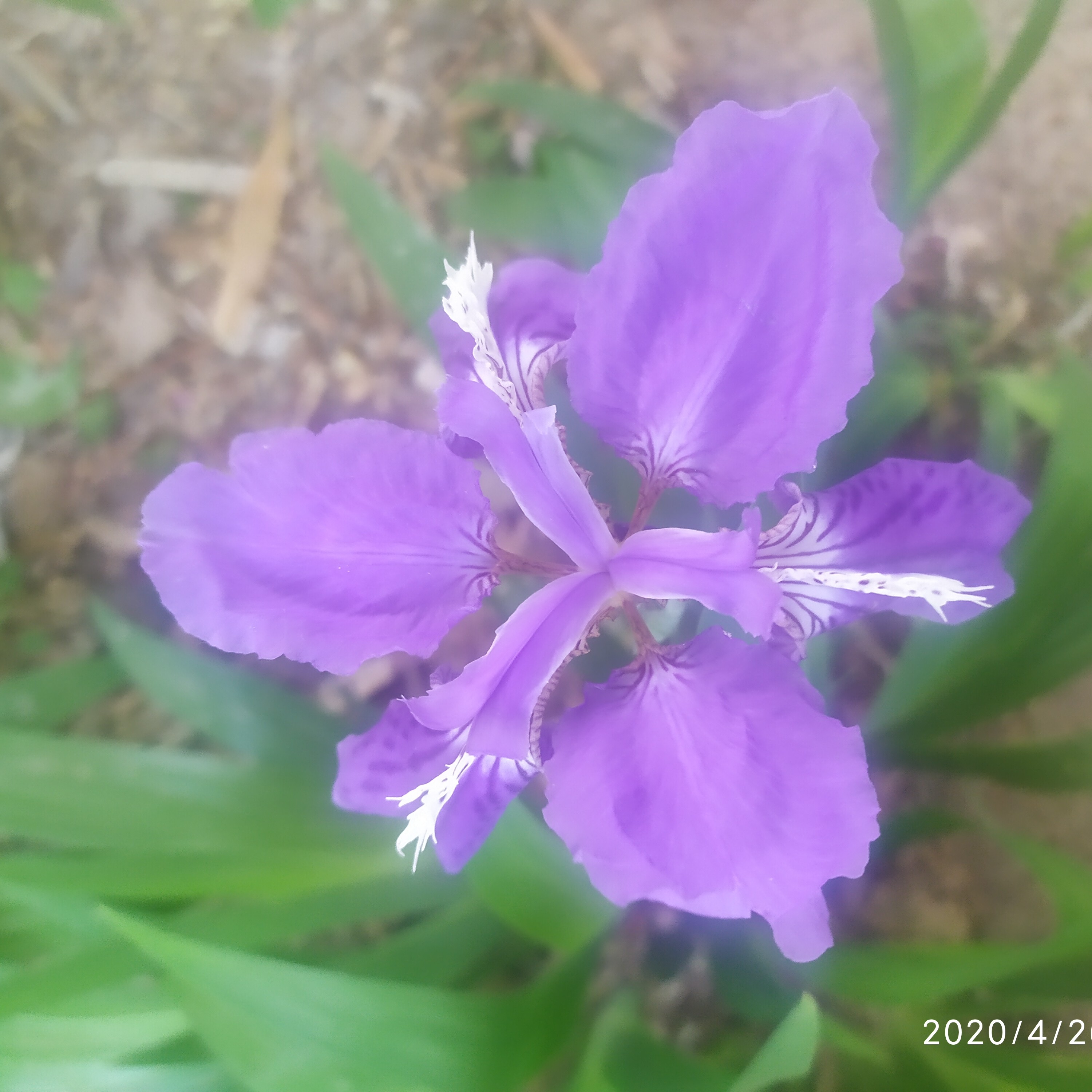 此账号已注销海报