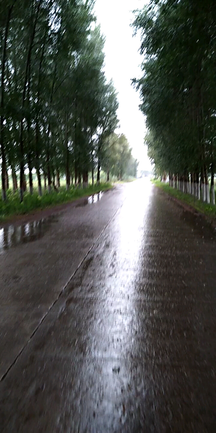 东北黑土地～单位门前饭后雨中