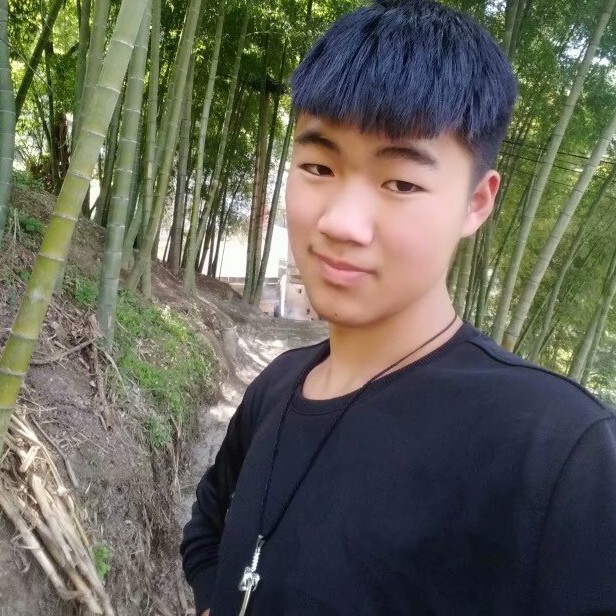 狼ir6海报