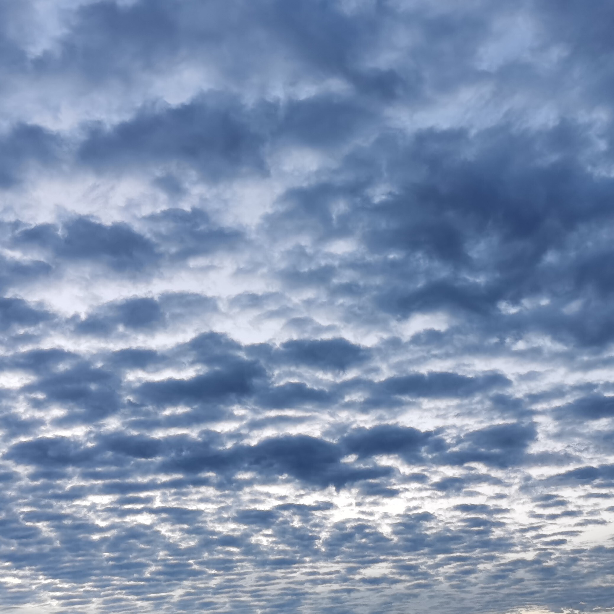 醉花陰💙海报
