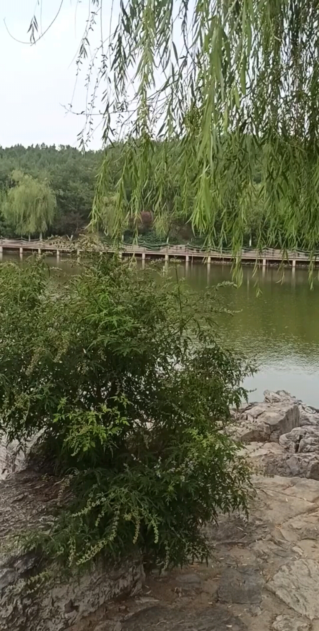 故宫票没预定成功，气死我了