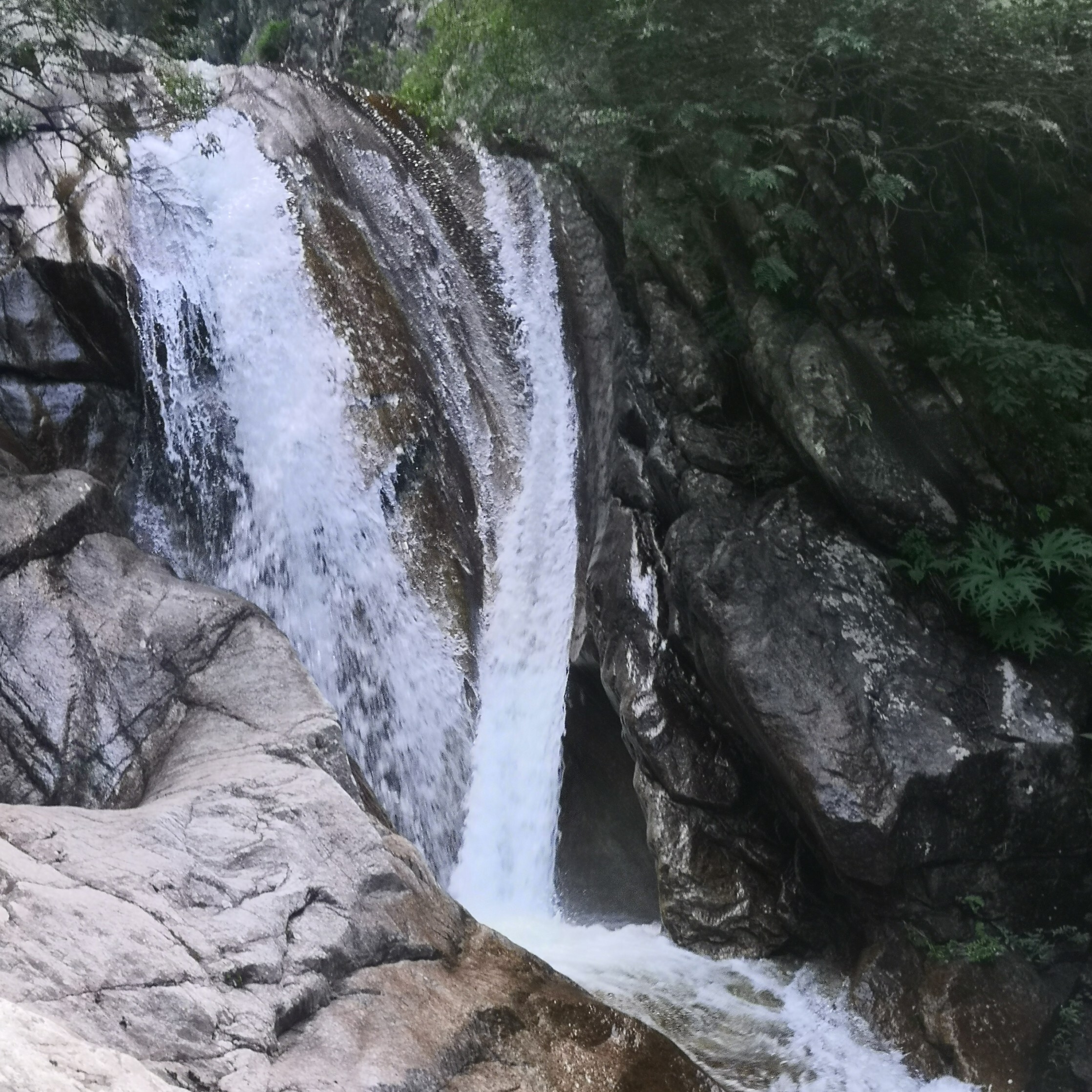 小双双秘书海报