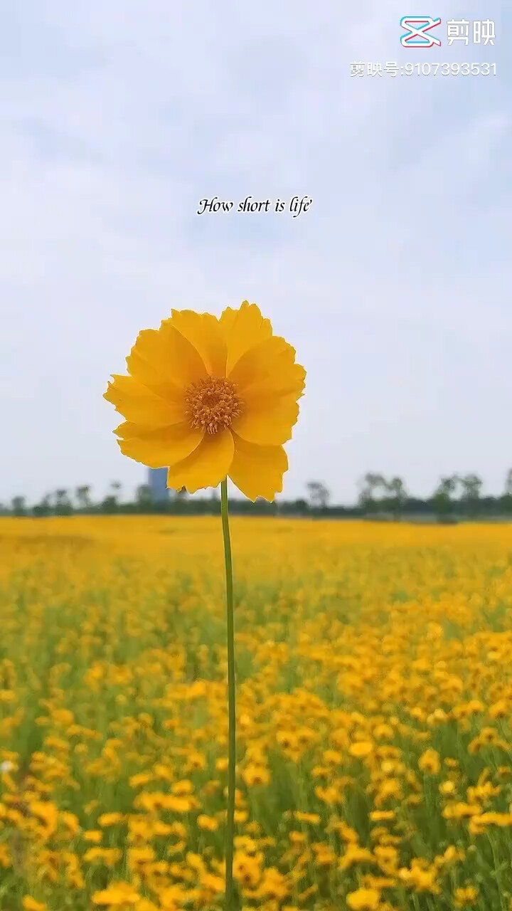 人生何其短暂，认识就是缘分😜ོ