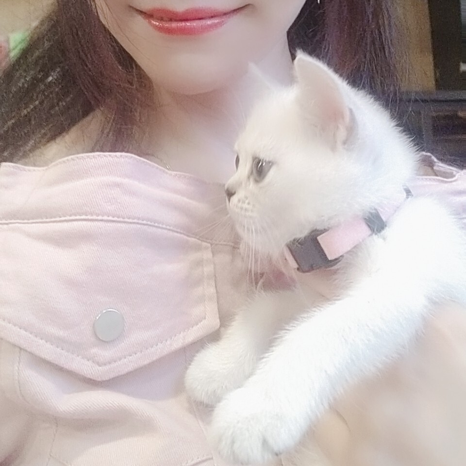 🐠猫爪子★泡泡🍭海报