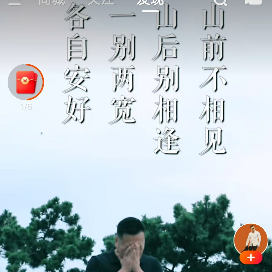 风雨无阻逛六只为媚海报