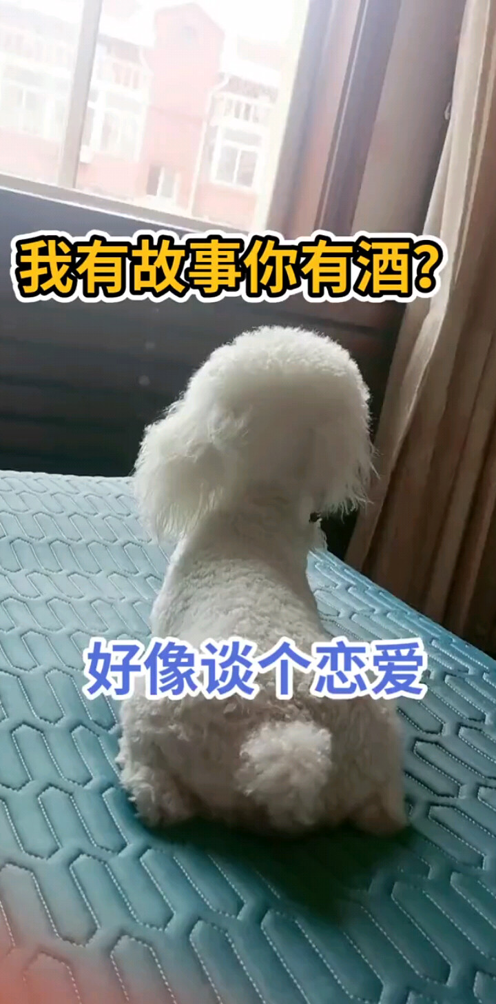 我孤独丫