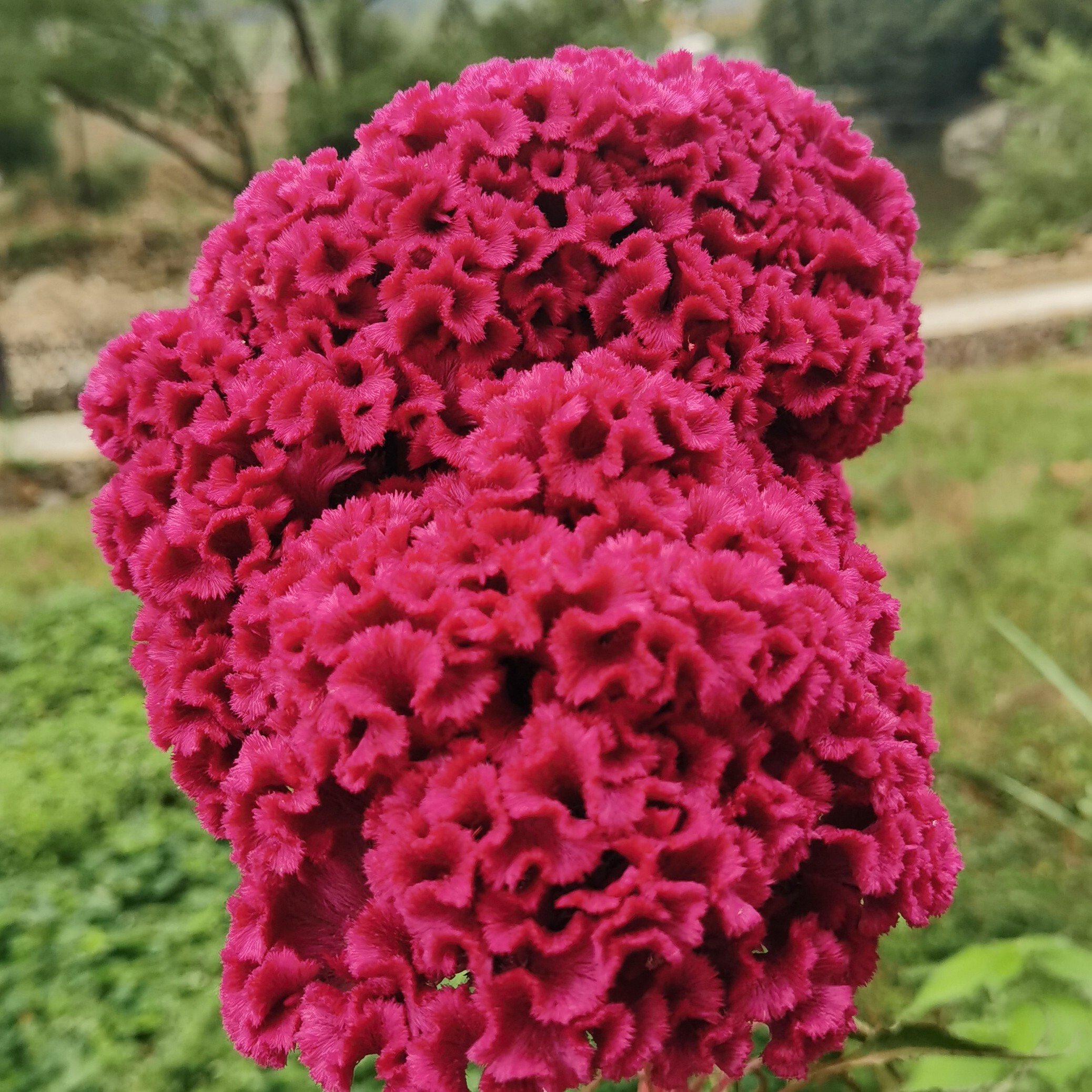 木子李哥～海报