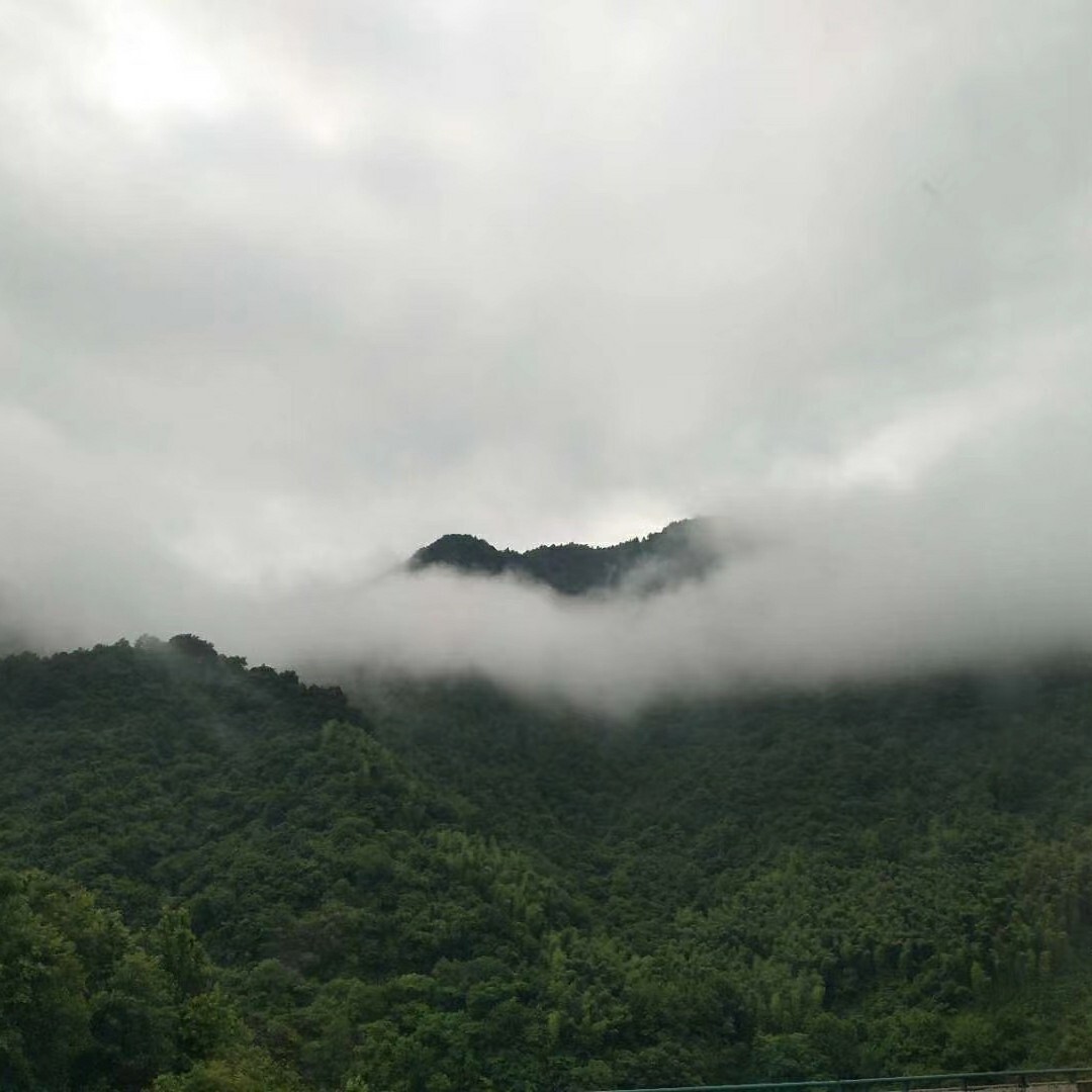 最后的风度🇨🇳海报