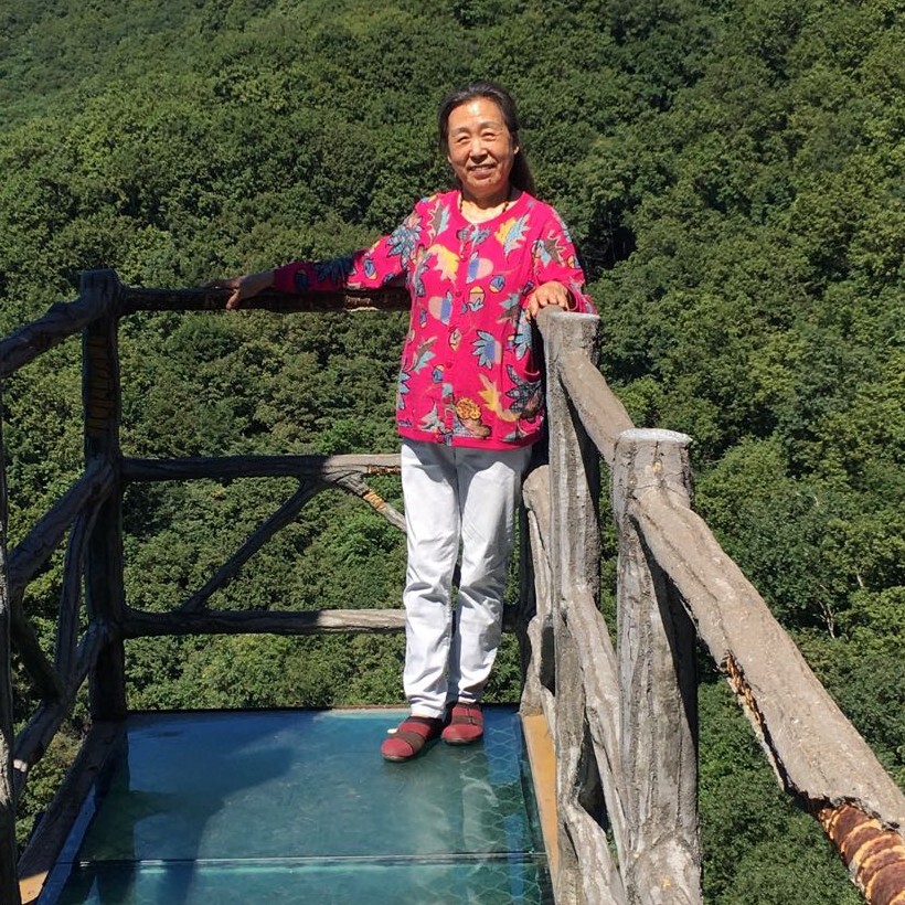 淑霞妈妈海报