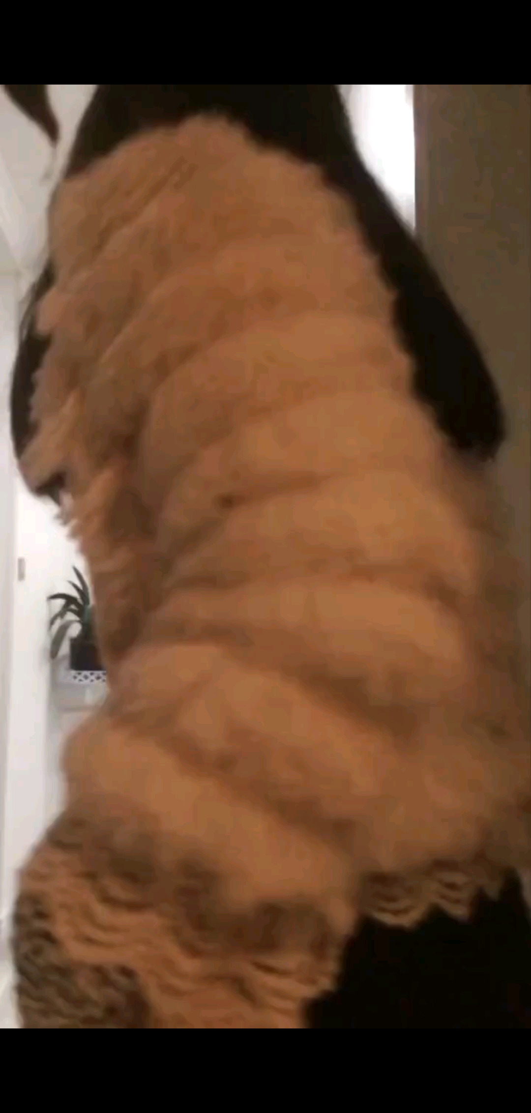 更新啦
