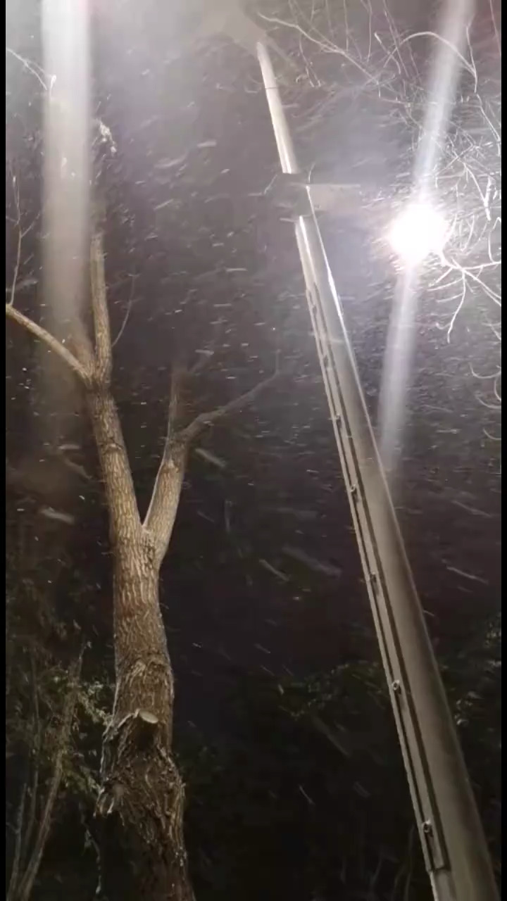 思念是一场大雪，而你是所有雪…