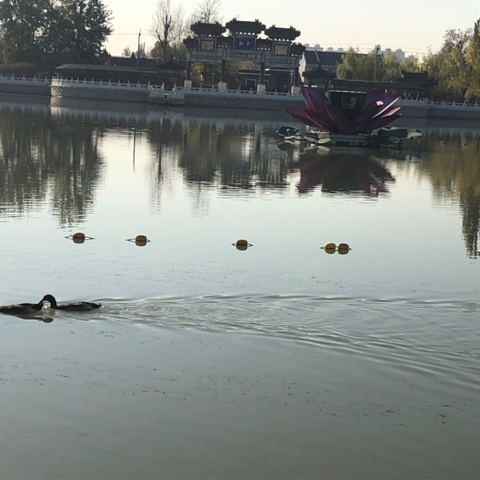 自来水水水海报