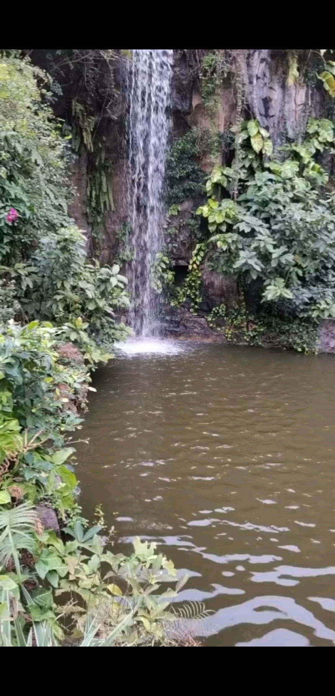 花果山