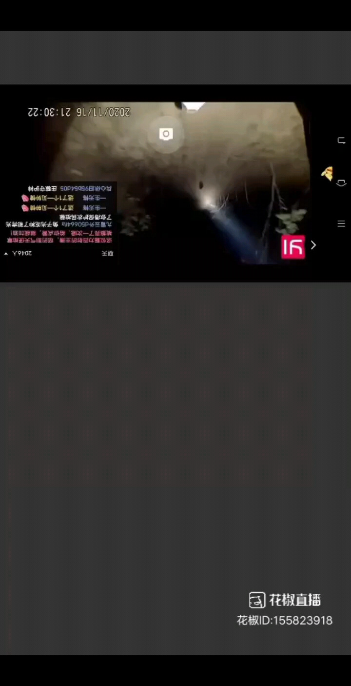 全网最牛逼的户外直播
