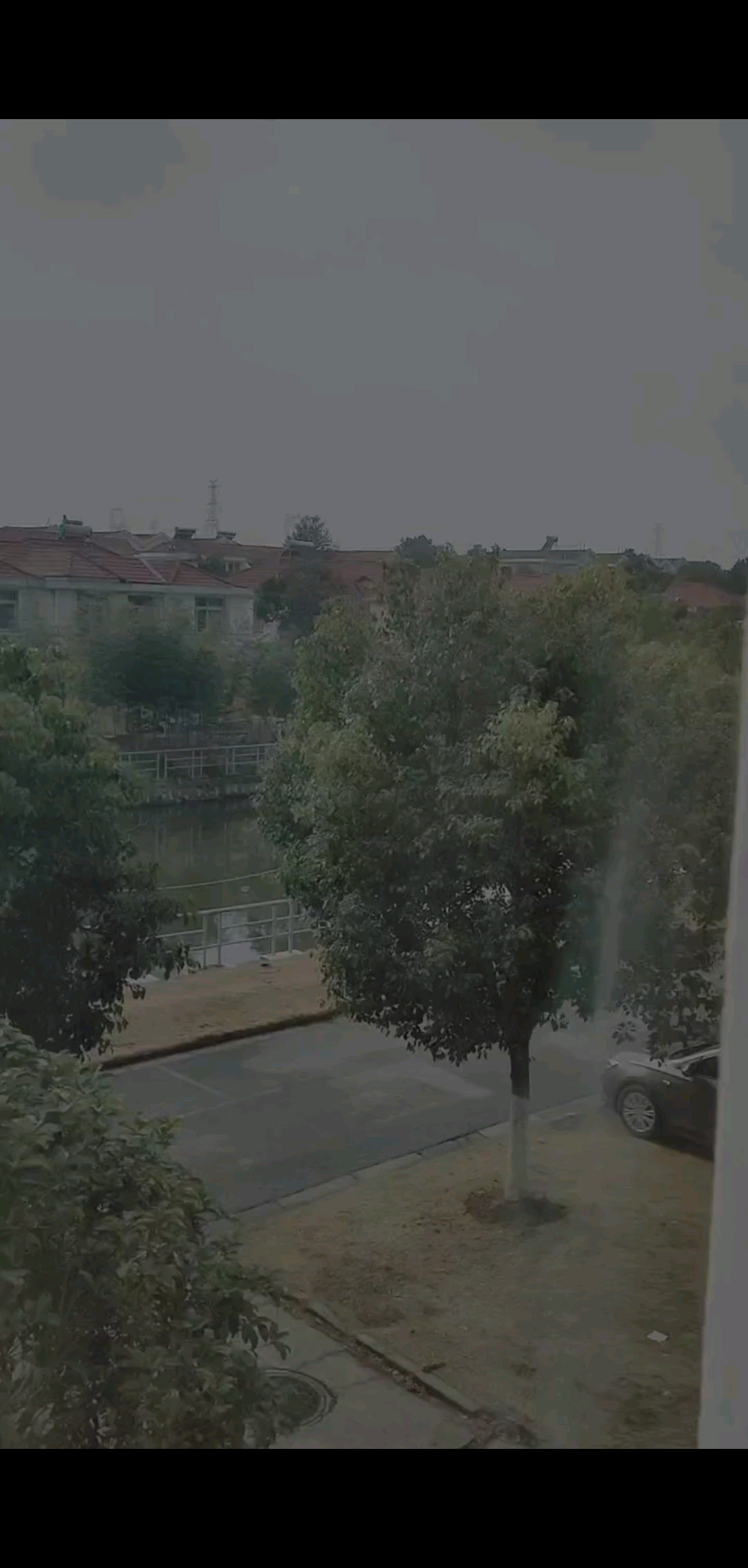 #贺新春，送祝福，与