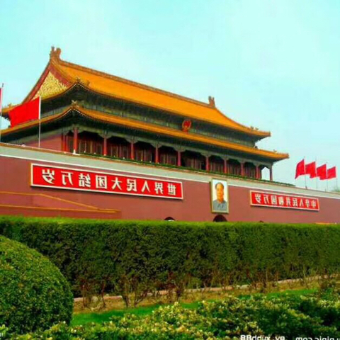 【中华】🌎龙腾天下海报