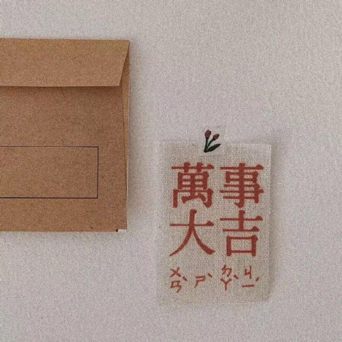 💊药匣子海报