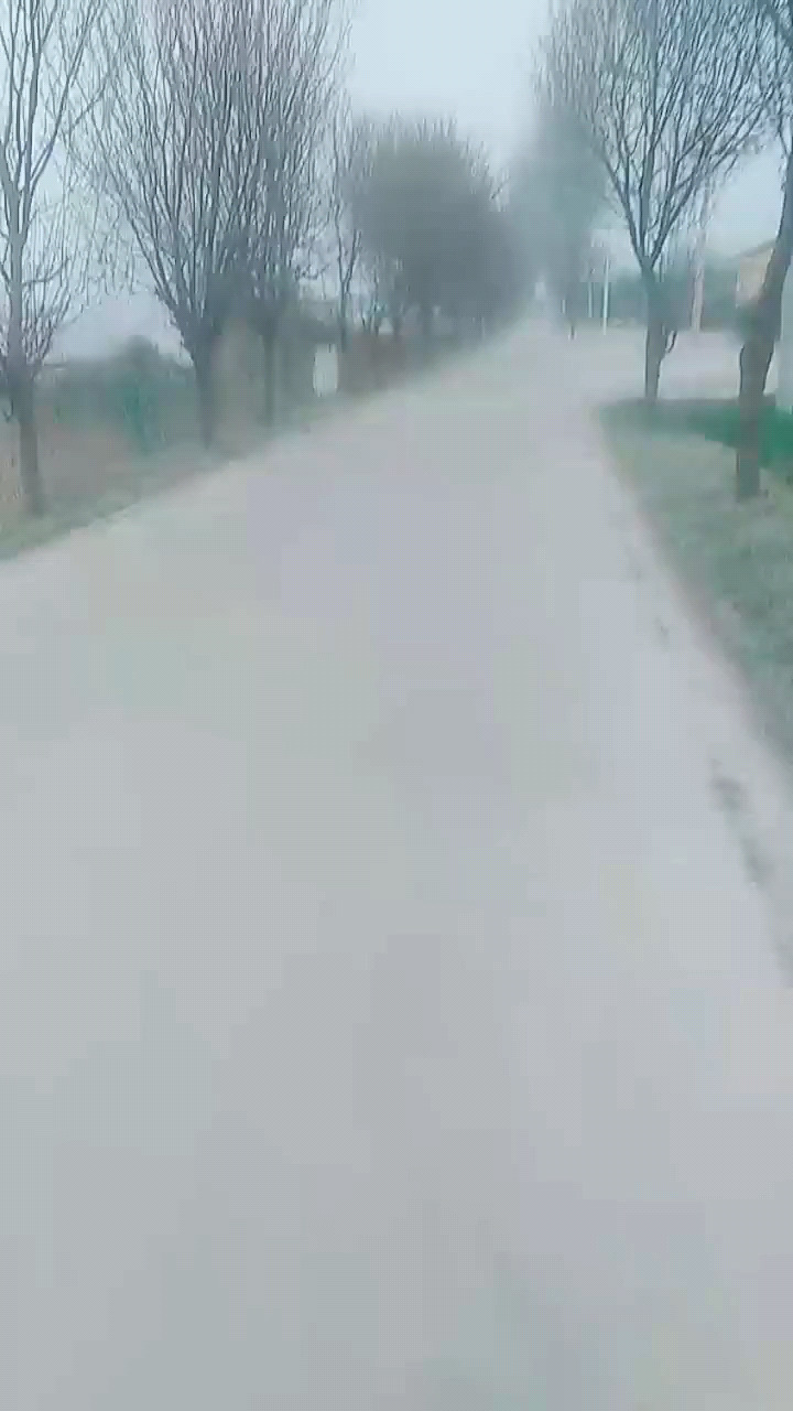 哎呀嗨喽喽喽