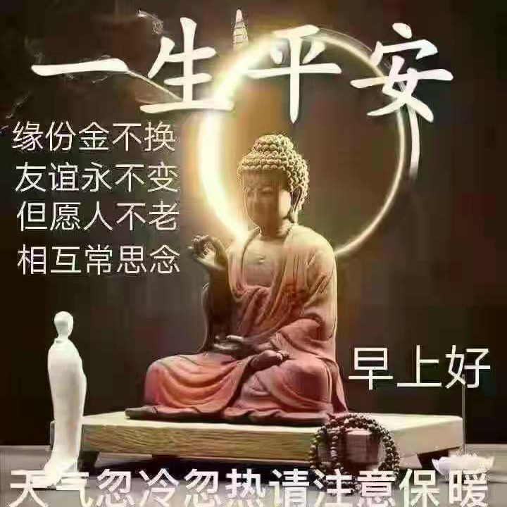 只做你的玫瑰海报