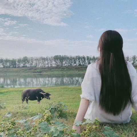 乄.安逸海报