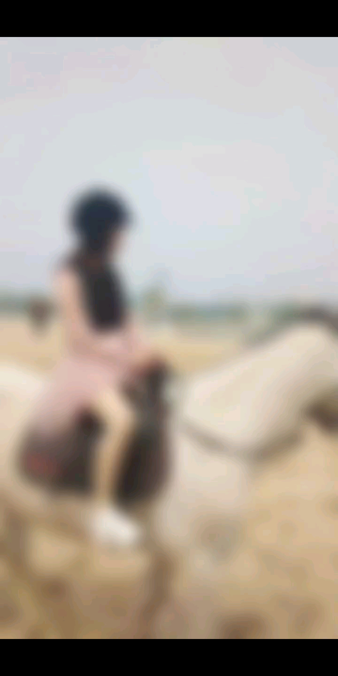 我还是从前那个少年没