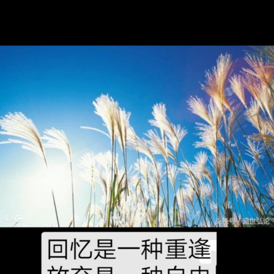 【封存记忆】海报