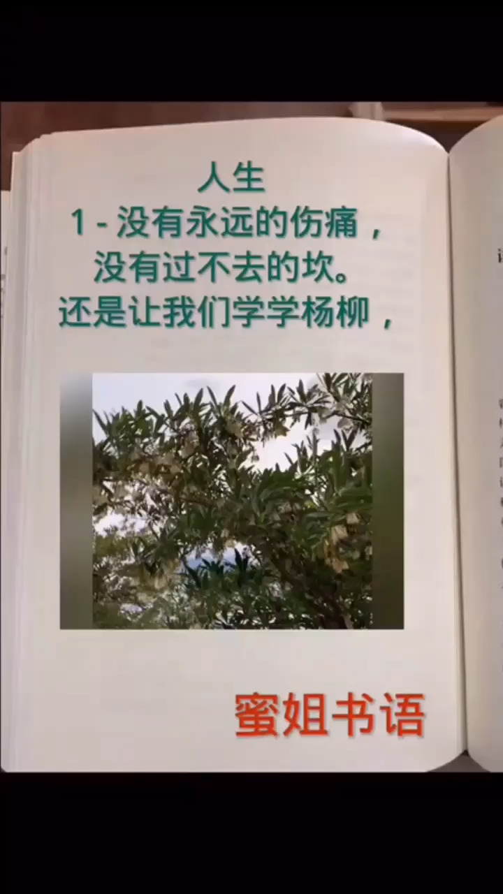 动态分享小视频