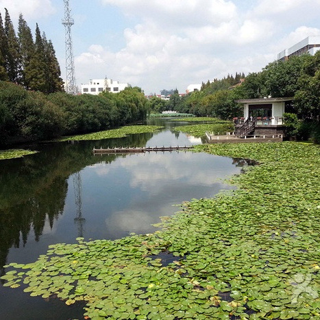 丽娃河畔（聆听慧）海报